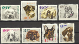 Poland, 1969, Dogs, Animals, MNH, Michel 1898-1905 - Neufs