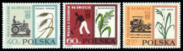 Poland, 1963, Freedom From Hunger, FAO, United Nations, MNH, Michel 1371-1373 - Ungebraucht