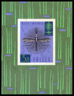 Poland, 1962, Fight Against Malaria, WHO, United Nations, MNH, Michel Block 27 - Ungebraucht