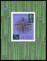 Poland, 1962, Fight Against Malaria, WHO, United Nations, MNH, Michel Block 27 - Ongebruikt