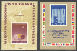 Poland, 1955, International Stamp Exhibition Warsaw, Stamps On Stamps, Flags, MNH, Michel Block 17-18 - Nuevos