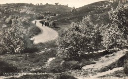 PAYS BAS - Laag Soeren - Weg Naar De Posbank - Carte Postale - Rheden