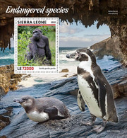 Sierra Leone 2022, Animals In Danger, Gorilla, Penguin, BF - Pinguine