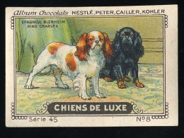 Nestlé - 45 - Chiens De Luxe, Dogs - 8 - Epagneul Blenheim, Cavalier King Charles-spaniël - Nestlé