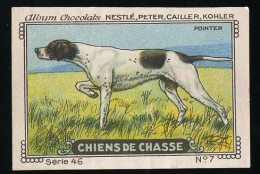 Nestlé - 46 - Chiens De Chasse, Hunting Dogs - 7 - Pointer - Nestlé