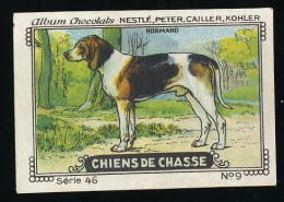 Nestlé - 46 - Chiens De Chasse, Hunting Dogs - 9 - Normand, Basset Artésien Normand, Norman Artesian Basset - Nestlé