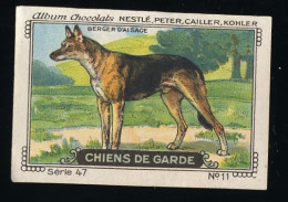 Nestlé - 47 - Chiens De Garde, Watchdogs - 11 - Berger D'Alsace, Berger Allemand, German Shepherd - Nestlé