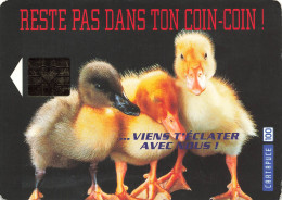 CPSM Illustration-Cartapuce-Reste Pas Dans Ton Coin Coin     L2814 - Contemporanea (a Partire Dal 1950)