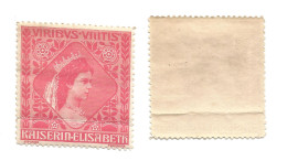 VIGNETTE IMPERATRICE SISSI 1915  AUSTRIA 1915 EMPRESS ELISABETH WW1 PATRIOTIC Label MNH - Other & Unclassified