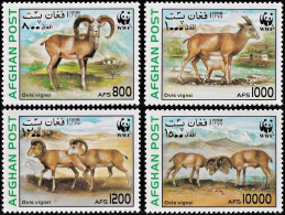 Afghanistan 1998, WWF Urial - 4 V. MNH - Nuevos