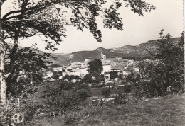 # 84160 LOURMARIN / PANORAMA NOIR Et BLANC - Lourmarin