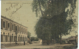 [82] Tarn Et Garonne > Castelsarrasin L'Arbre De La Liberté - Castelsarrasin