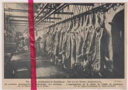 Oorlog Guerre 14/18 - Berlin Berlijn Ration De Viande, Vleesvoorraad - Orig. Knipsel Coupure Tijdschrift Magazine - 1917 - Non Classés