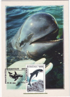 MAX 54 - 182 Marine Mammal, Romania - Maximum Card - 2000 - Otros & Sin Clasificación