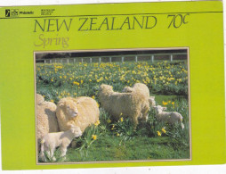 QT -  New Zeland:  SEASONS - Nouvelle-Zélande