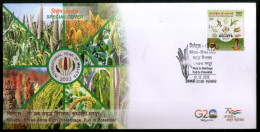 India 2023 International Year Of Millets Agriculture Special Cover # 18434 - Agriculture