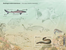 Belgium Belgique Belgien 2024 Europa CEPT Underwater Fauna & Flora Block MNH - Nuevos