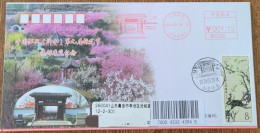 China Cover "Jiangbei Plum Blossom Festival" (Yishui, Shandong) Postage Stamp With The Same Theme And First Day Actual D - Omslagen