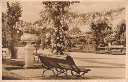 TOMAR - Jardim Publico - PORTUGAL - Santarem