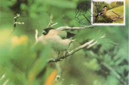 Bullfinch, Maxim Card, Portugal, 1986, Condition As Per Scan - Storia Postale