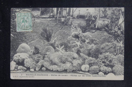 NOUVELLE CALÉDONIE - Affranchissement De Bourail Sur Carte Postale En 1912 Pour La France - L 151237 - Brieven En Documenten