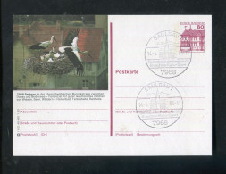 "STOERCHE" 1983, Entsprechende Abbildung Auf Bildpostkarte, SSt. "SAULGAU" (R0170) - Storks & Long-legged Wading Birds