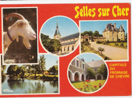 Selles-sur-Cher - Capitale Du Fromage De Chèvre - Selles Sur Cher