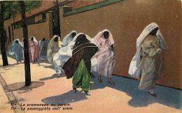 Scènes Et Types - Afrique Du Nord - La Promenade Du Harem - Animée - Colorisée - Femme Avec Voile Intégral - CPA - Voir  - Afrique