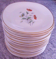 24 Assiettes Plates En Faïence CÉRANORD ST AMAND - Modèle Anémone - Semi Vitrifié. Epoque De 1909 à 1932,  Art D - Platos