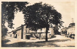 Castera Verduzan * Avenue Des Marronniers * Arbre - Autres & Non Classés