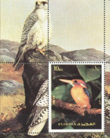 Fujeira 1972, Birds, Kingfisher, BF - Marine Web-footed Birds