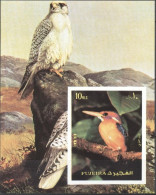 Fujeira 1972, Birds, Kingfisher, BF IMPERFORATED - Pájaros Cantores (Passeri)