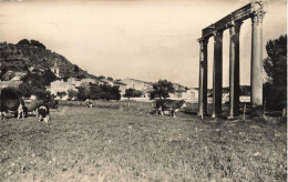 Riez * Vue Sur Les Colonnes Romaines Et Le Village * Archéologie - Other & Unclassified