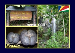 Seychelles Praslin Island Vallee De Mai Park UNESCO New Postcard - Seychelles