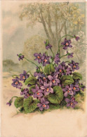 FLEURS - Violettes - Forêt - Carte Postale Ancienne - Blumen