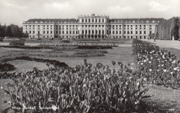 POSTCARD 3157,Austria,Vienna - Schönbrunn Palace