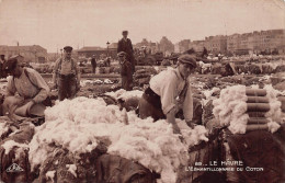 76-LE-HAVRE- CARTE-PHOTO- L'ECHANTILLONNAGE DU COTON - Harbour