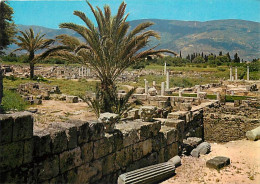 Algérie - Annaba - Ruines D'Hippone - CPM - Carte Neuve - Voir Scans Recto-Verso - Annaba (Bône)