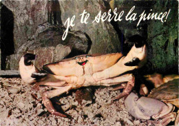 Animaux - Crabe - CPM - Voir Scans Recto-Verso - Pescados Y Crustáceos