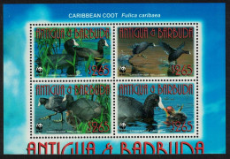 Antigua And Barbuda Birds WWF Caribbean Coot 4v Block Of 4 Latin Name 2009 MNH SG#4259-4262 MI#4702-4705 Sc#3055a-d - Antigua Y Barbuda (1981-...)