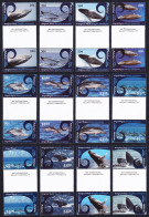 Aitutaki Cetaceans Whales Dolphins 12v Gutter Pairs 2012 MNH SG#779=800 Sc#581-592 - Aitutaki
