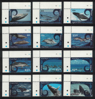 Aitutaki Cetaceans Whales Dolphins 12v Corners 2012 MNH SG#779=780 Sc#581-592 - Aitutaki