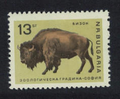 Bulgaria American Bison Sofia Zoo 13 St 1966 MNH SG#1616 - Unused Stamps