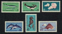 Bulgaria Sturgeon Jellyfish Dolphins Ray Fish Black Sea Fauna 6v 1961 MNH SG#1251-1256 - Nuevos