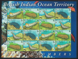 BIOT WWF Sea Cucumbers Sheetlet Of 4 Sets 2008 MNH SG#392-395 MI#470-473 Sc#361-364 - Territorio Britannico Dell'Oceano Indiano
