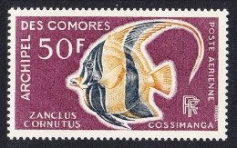 Comoro Is. Moorish Idol Fish 'Zanclus Cornutus' 50f 1968 MNH SG#71 MI#90 Sc#C23 - Other & Unclassified