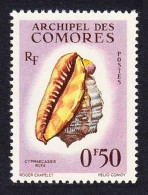 Comoro Is. Sea Shell 'Cypraecassis Rufa' 50c 1962 MNH SG#23 MI#42 Sc#48 - Andere & Zonder Classificatie