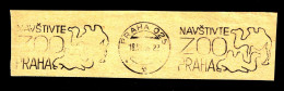 Czechoslovakia Camel Prague Zoo Machine Cancel 1966 Canc - Used Stamps