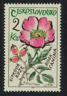 Czechoslovakia Medicinal Plants Dog Rose 1965 MNH SG#1544 - Neufs