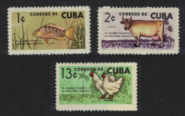 Caribic Fish Cow Cattle Poultry Chicken 3v 1964 MNH SG#1119-1121 - Nuovi